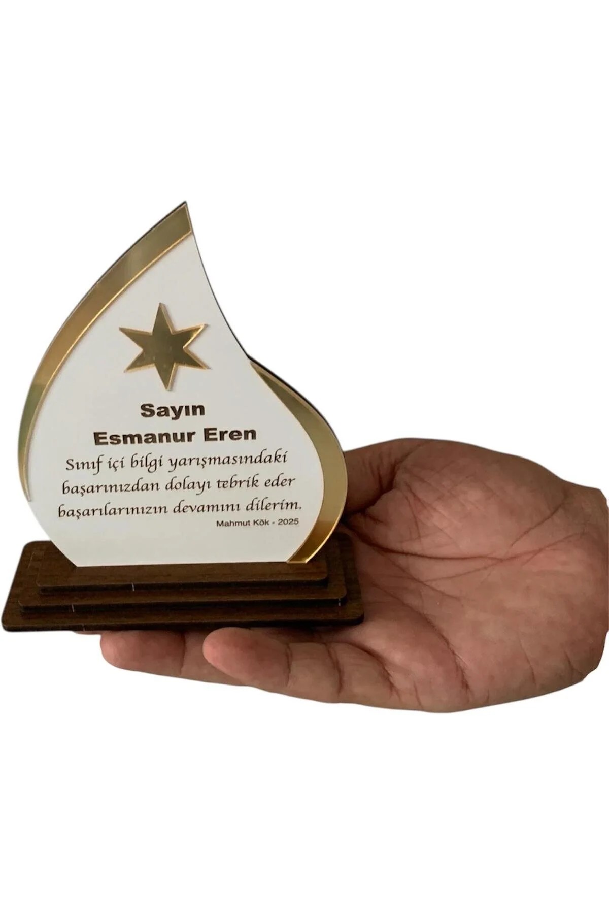 Başarı Plaketi Öğretmenler Günü Hediyesi Anneler Günü Babalar Günü Hediyesi İşyeri Başarı Plaketi - Görsel 5